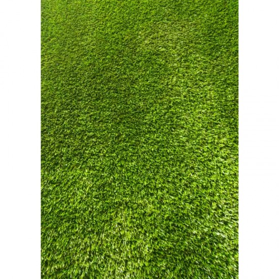 BORMANN BPN2110 Συνθετικός Χλοοτάπητας 1x25m Και Ύψους Πέλους 20mm